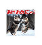 師走のにゃんこ♥年始もあり◎（個別スタンプ：29）