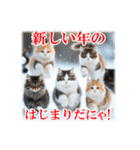 師走のにゃんこ♥年始もあり◎（個別スタンプ：31）