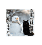 師走のにゃんこ♥年始もあり◎（個別スタンプ：32）