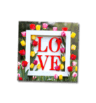 華やかフラワー♥気遣いや挨拶スタンプ（個別スタンプ：10）