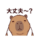 可愛いカピバラ先輩の癒し気遣いスタンプ（個別スタンプ：1）