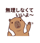 可愛いカピバラ先輩の癒し気遣いスタンプ（個別スタンプ：2）