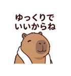 可愛いカピバラ先輩の癒し気遣いスタンプ（個別スタンプ：3）