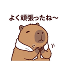 可愛いカピバラ先輩の癒し気遣いスタンプ（個別スタンプ：7）