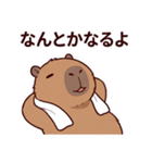 可愛いカピバラ先輩の癒し気遣いスタンプ（個別スタンプ：10）