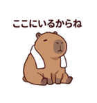 可愛いカピバラ先輩の癒し気遣いスタンプ（個別スタンプ：11）