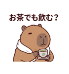 可愛いカピバラ先輩の癒し気遣いスタンプ（個別スタンプ：12）