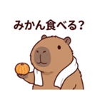 可愛いカピバラ先輩の癒し気遣いスタンプ（個別スタンプ：13）