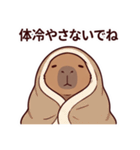 可愛いカピバラ先輩の癒し気遣いスタンプ（個別スタンプ：15）