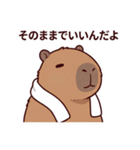 可愛いカピバラ先輩の癒し気遣いスタンプ（個別スタンプ：16）