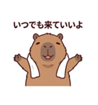 可愛いカピバラ先輩の癒し気遣いスタンプ（個別スタンプ：18）