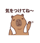 可愛いカピバラ先輩の癒し気遣いスタンプ（個別スタンプ：19）