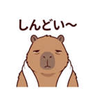 可愛いカピバラ先輩の癒し気遣いスタンプ（個別スタンプ：21）