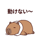 可愛いカピバラ先輩の癒し気遣いスタンプ（個別スタンプ：22）