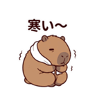 可愛いカピバラ先輩の癒し気遣いスタンプ（個別スタンプ：24）