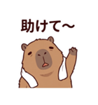 可愛いカピバラ先輩の癒し気遣いスタンプ（個別スタンプ：28）