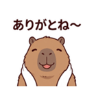 可愛いカピバラ先輩の癒し気遣いスタンプ（個別スタンプ：31）