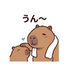 可愛いカピバラ先輩の癒し気遣いスタンプ（個別スタンプ：34）
