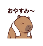 可愛いカピバラ先輩の癒し気遣いスタンプ（個別スタンプ：36）