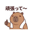 可愛いカピバラ先輩の癒し気遣いスタンプ（個別スタンプ：38）
