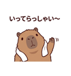 可愛いカピバラ先輩の癒し気遣いスタンプ（個別スタンプ：39）