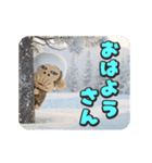 イラッとお猿さんの冬3D（個別スタンプ：5）