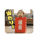 イラッとお猿さんの冬3D（個別スタンプ：16）