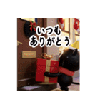 猫が好き♡18飛び出す❄️冬正月クリスマス（個別スタンプ：5）