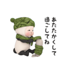 【冬】パンダタオル【丁寧】（個別スタンプ：13）