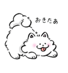 サモエドン（個別スタンプ：1）