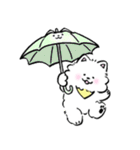 サモエドン（個別スタンプ：36）