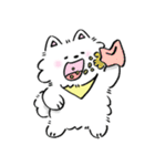 サモエドン（個別スタンプ：37）