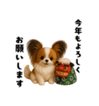 午年パピヨンの冬＆年末年始スタンプ（個別スタンプ：6）