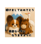 午年パピヨンの冬＆年末年始スタンプ（個別スタンプ：7）