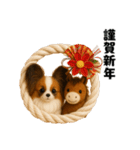 午年パピヨンの冬＆年末年始スタンプ（個別スタンプ：9）