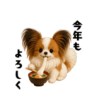 午年パピヨンの冬＆年末年始スタンプ（個別スタンプ：11）