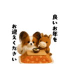 午年パピヨンの冬＆年末年始スタンプ（個別スタンプ：13）