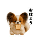 午年パピヨンの冬＆年末年始スタンプ（個別スタンプ：19）