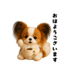 午年パピヨンの冬＆年末年始スタンプ（個別スタンプ：20）