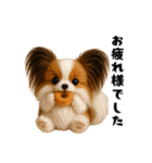 午年パピヨンの冬＆年末年始スタンプ（個別スタンプ：25）