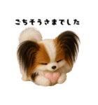 午年パピヨンの冬＆年末年始スタンプ（個別スタンプ：35）