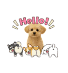 ポメプー(ポメラニアン×プードル)の毎日（個別スタンプ：1）