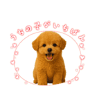 ポメプー(ポメラニアン×プードル)の毎日（個別スタンプ：2）