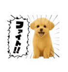 ポメプー(ポメラニアン×プードル)の毎日（個別スタンプ：3）