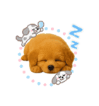 ポメプー(ポメラニアン×プードル)の毎日（個別スタンプ：5）