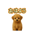 ポメプー(ポメラニアン×プードル)の毎日（個別スタンプ：6）