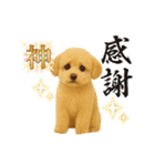 ポメプー(ポメラニアン×プードル)の毎日（個別スタンプ：10）