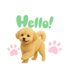 ポメプー(ポメラニアン×プードル)の毎日（個別スタンプ：13）