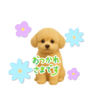 ポメプー(ポメラニアン×プードル)の毎日（個別スタンプ：14）