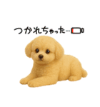 ポメプー(ポメラニアン×プードル)の毎日（個別スタンプ：15）
